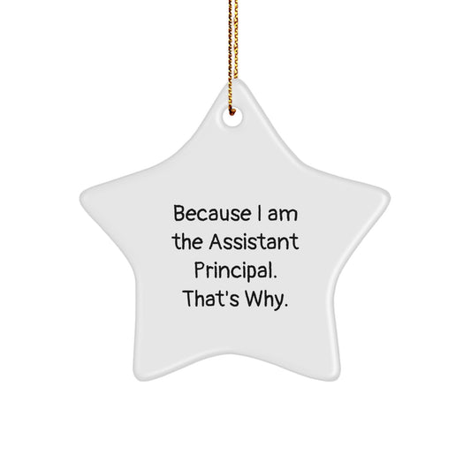 Assistant Principal Gift, Funny Quote Star Ornament, 'Because I Am The Assistant Principal. That's Why.' Christmas Unique Gifts from Friends, for Assistant Principals