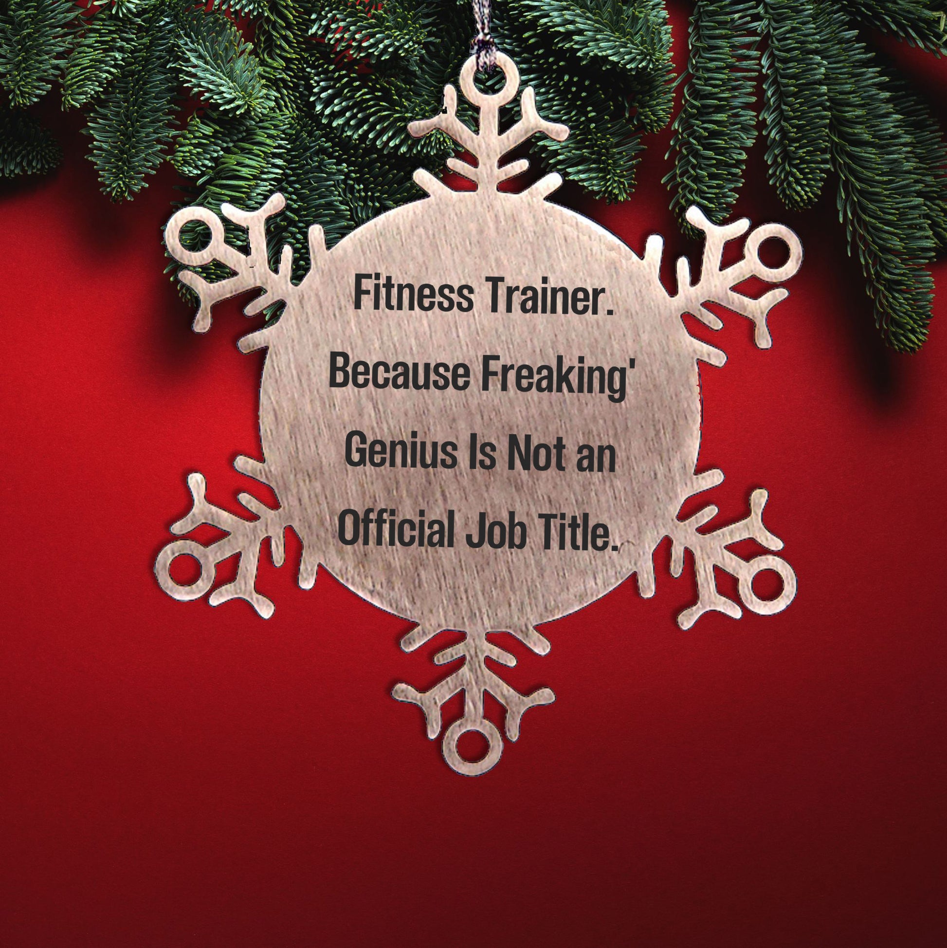 Fitness Trainer Snowflake Ornament, Funny Quote, Gifts from Friends, Unique Christmas Tree Decorations, Fitness Trainer Gifts
