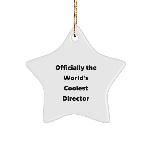 Fun Director Gifts, Officially The World's Coolest Director Star Ornament, Christmas Unique Gifts from Friends to Director