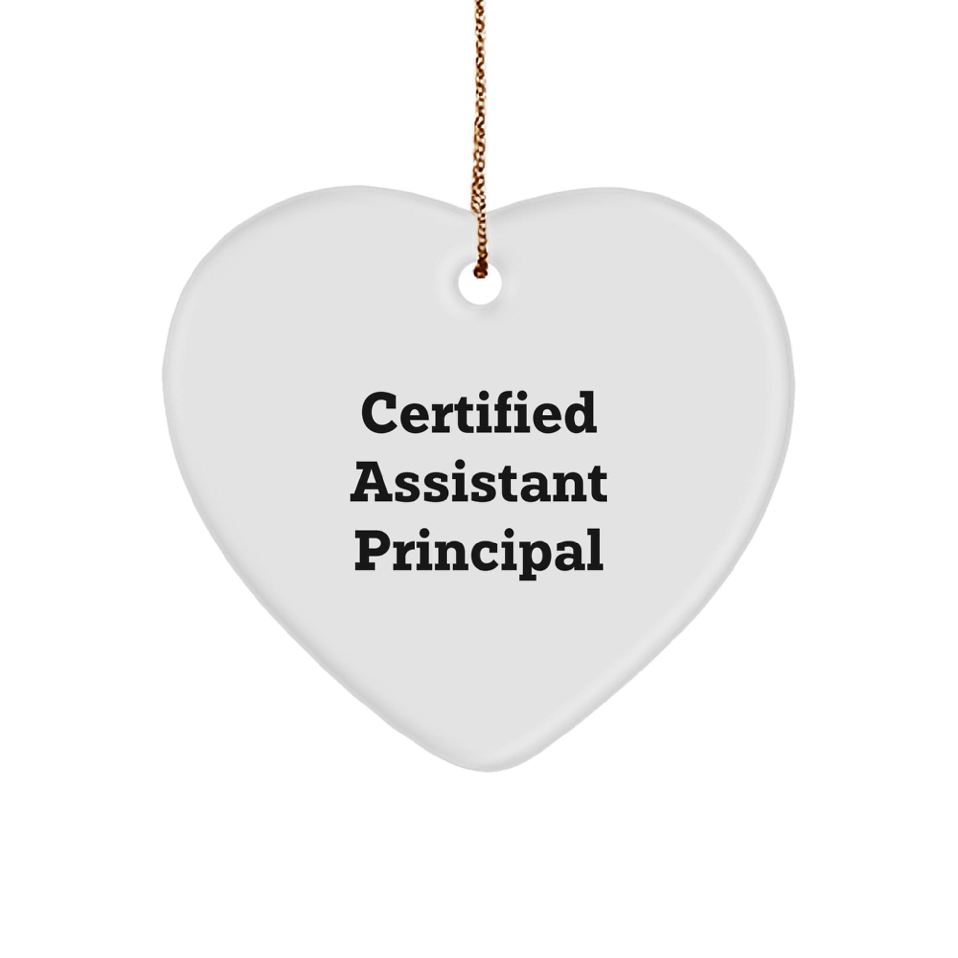Funny Assistant Principal Christmas Unique Gift for Men from Coworkers - Heart Ornament with Inspirational Quote