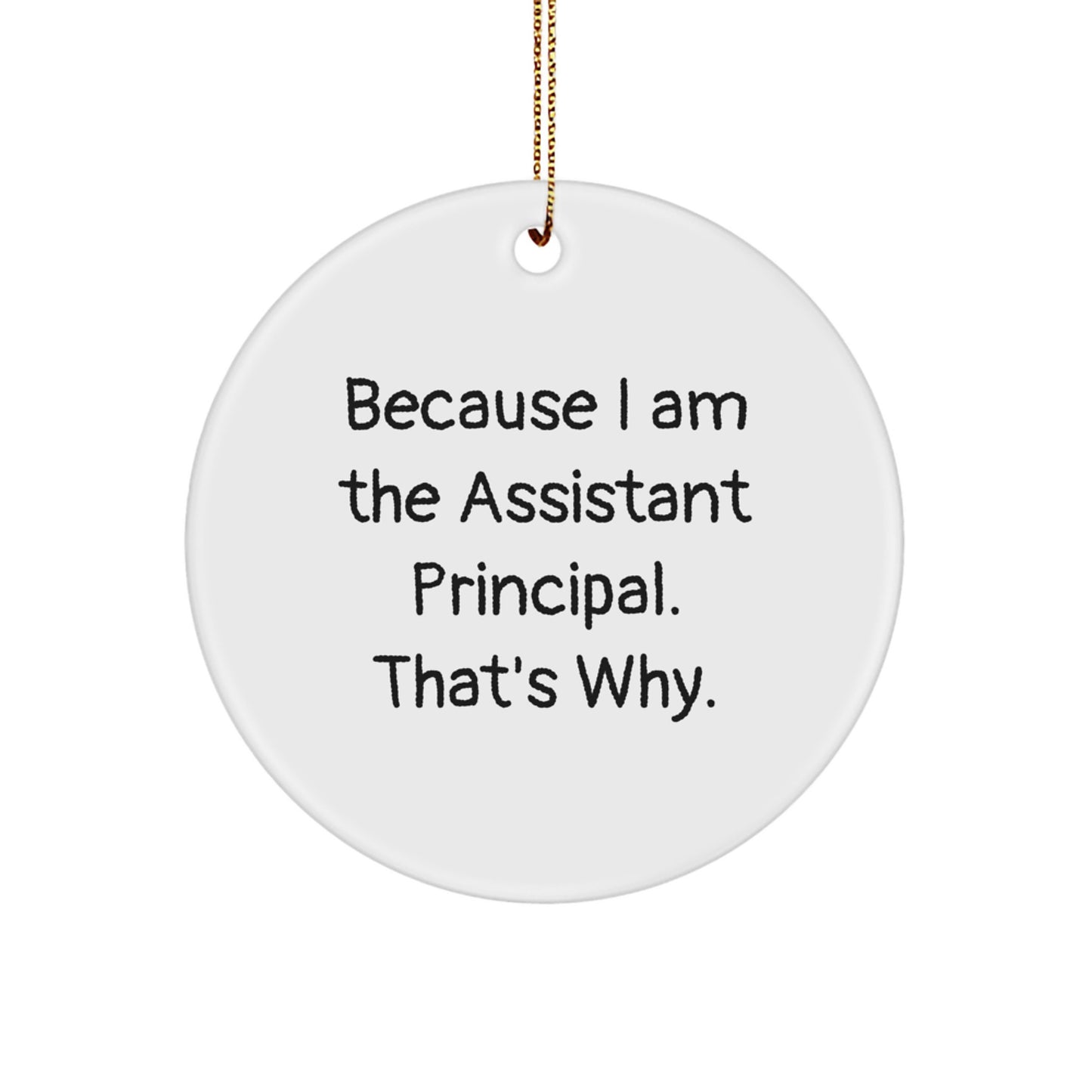 Funny Assistant Principal Circle Ornament, Because I Am The Assistant Principal. That's Why., Gifts from Men for Assistant Principal, Unique Christmas Unique Gifts