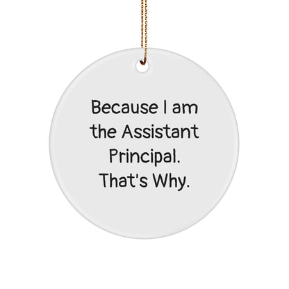 Funny Assistant Principal Circle Ornament, Because I Am The Assistant Principal. That's Why., Gifts from Men for Assistant Principal, Unique Christmas Unique Gifts