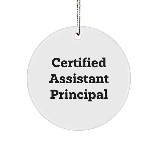 Funny Certified Assistant Principal Gifts for Men, Women, Friends, Coworkers - Assistant Principal Circle Ornament, White, Vibrant Print, Christmas Unique Gifts