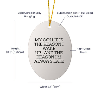 Funny Collie Dog Oval Ornament Gifts - 'My Collie Is The Reason I Wake Up...and The Reason I'm Always Late'