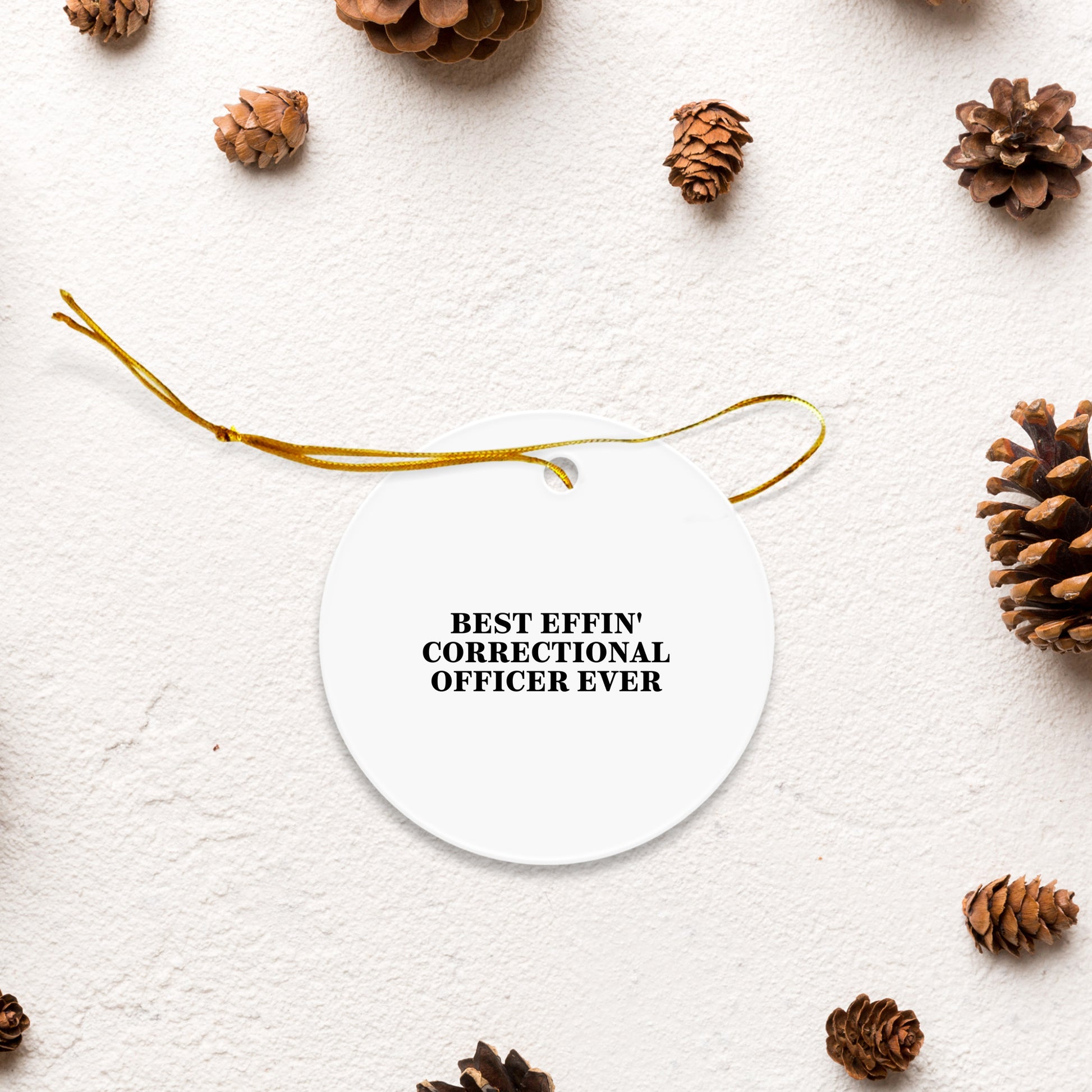 Funny Correctional Officer Gifts from Men, Gifts for Correctional Officers, Best Effin' Correctional Officer Ever Circle Ornament, Christmas Unique Presents