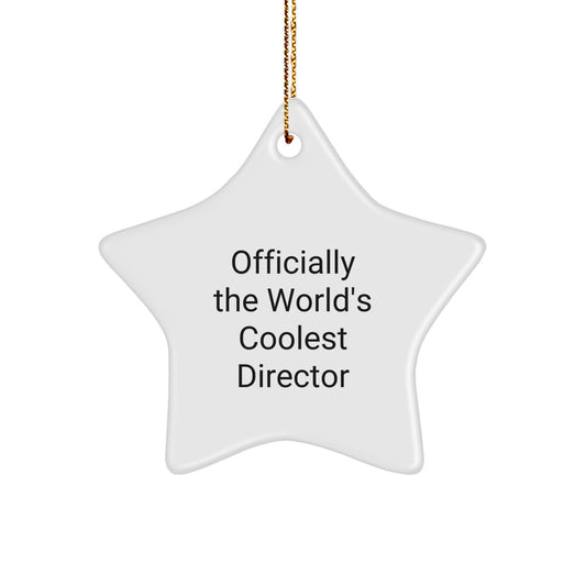 Funny Director Gifts from Men to Officially The World's Coolest Director Star Ornament, 'Officially The World's Coolest Director' Quote, Christmas Unique Gifts for Him