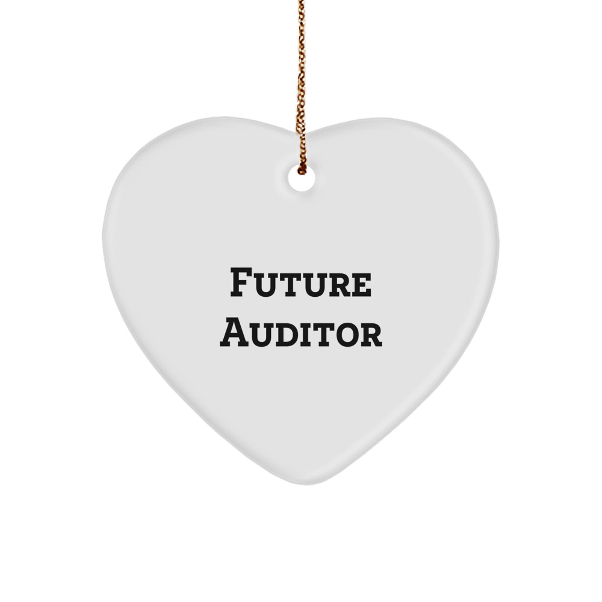 Funny Future Auditor Christmas Unique Gifts from Friends, Inspirational Heart Ornament for Auditor, Auditor Gifts