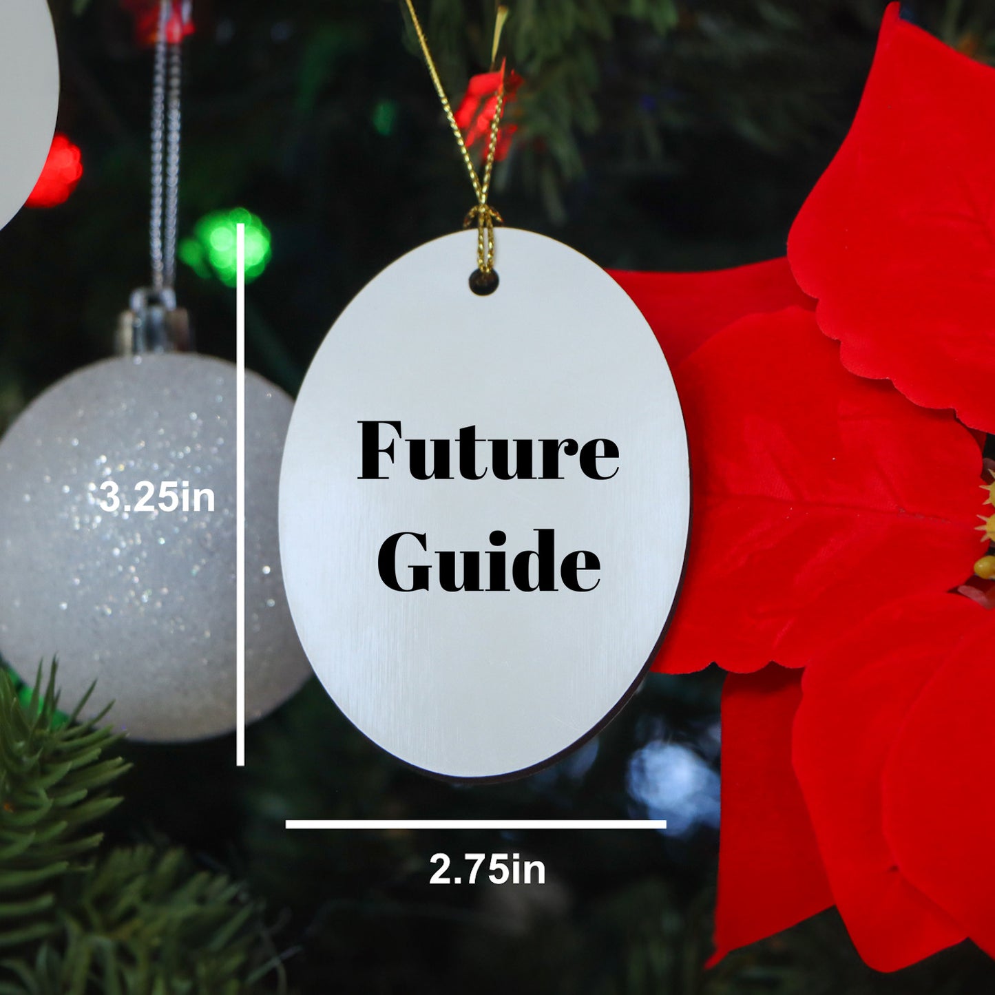 Funny Future Guide Gifts Oval Ornament for Men, Women, Friends and Family Christmas Memorable Presents from Guide Enthusiasts, Guide Lovers, Guide Addicts