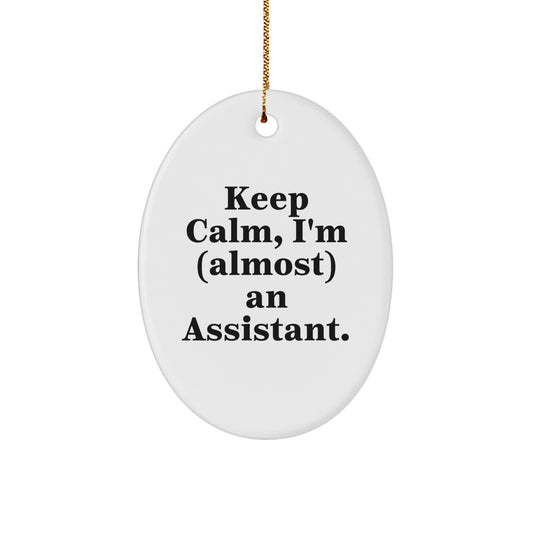 Funny Keep Calm Assistant Oval Ornament Gifts from Friends to Family