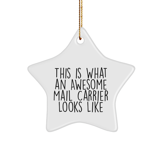 Funny Mail Carrier Star Ornament Gifts from Friends to Awesome Mail Carrier, Christmas Unique Presents