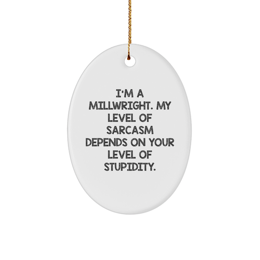 Funny Millwright Gifts from Men to Friends - Oval Ornament with Sarcasm Quote, Perfect for Christmas Unique Gifts