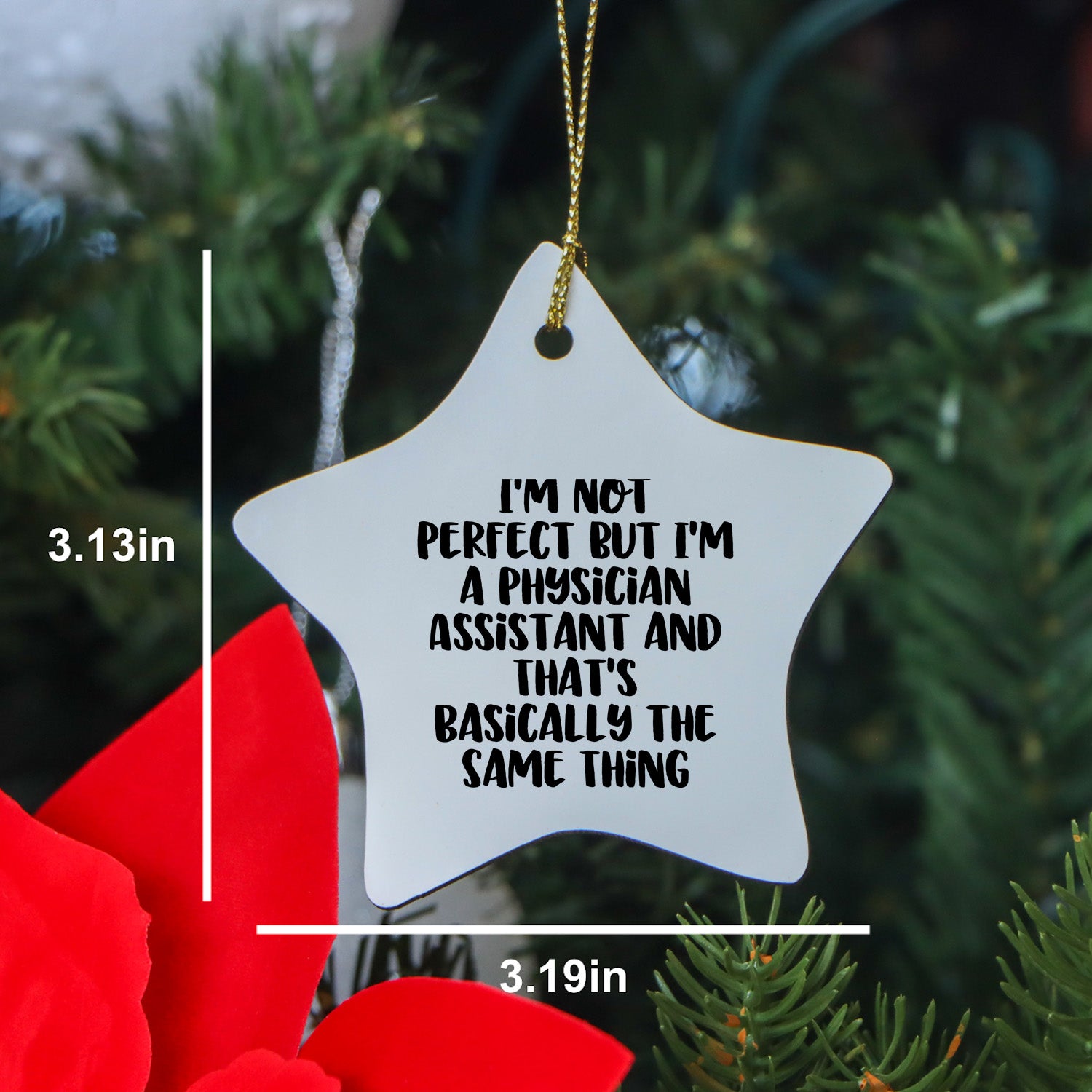Funny Physician Assistant Gifts, Star Ornament Quotes, Gifts from Men to Physician Assistant Friends, Perfect Christmas Unique Gifts for Physician Assistant Colleagues