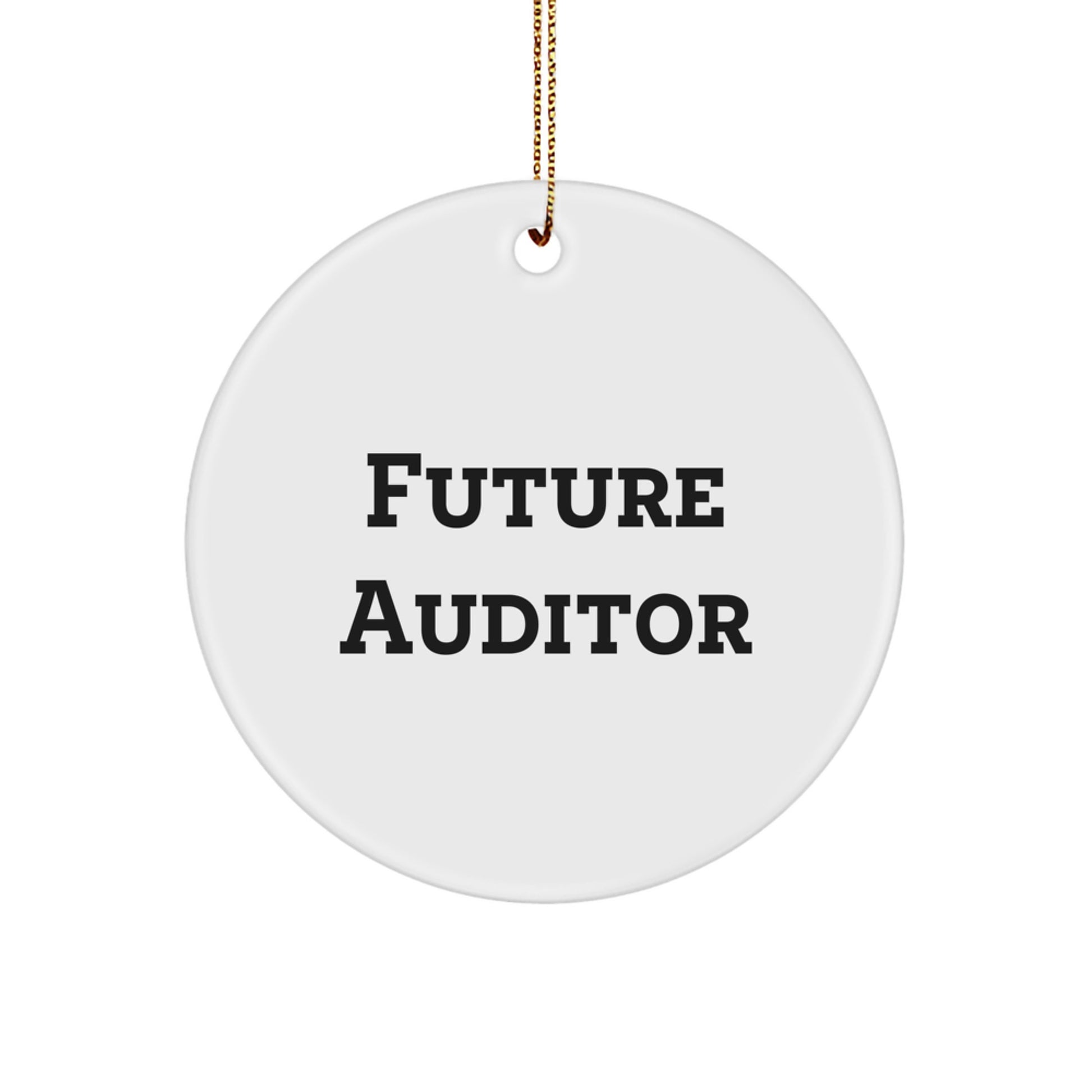 Funny Quote Circle Ornament for Future Auditors Gifts from Friends, Co-workers, or Family - Christmas Unique Auditor Gifts