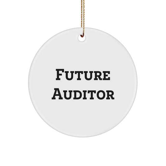 Funny Quote Circle Ornament for Future Auditors Gifts from Friends, Co-workers, or Family - Christmas Unique Auditor Gifts
