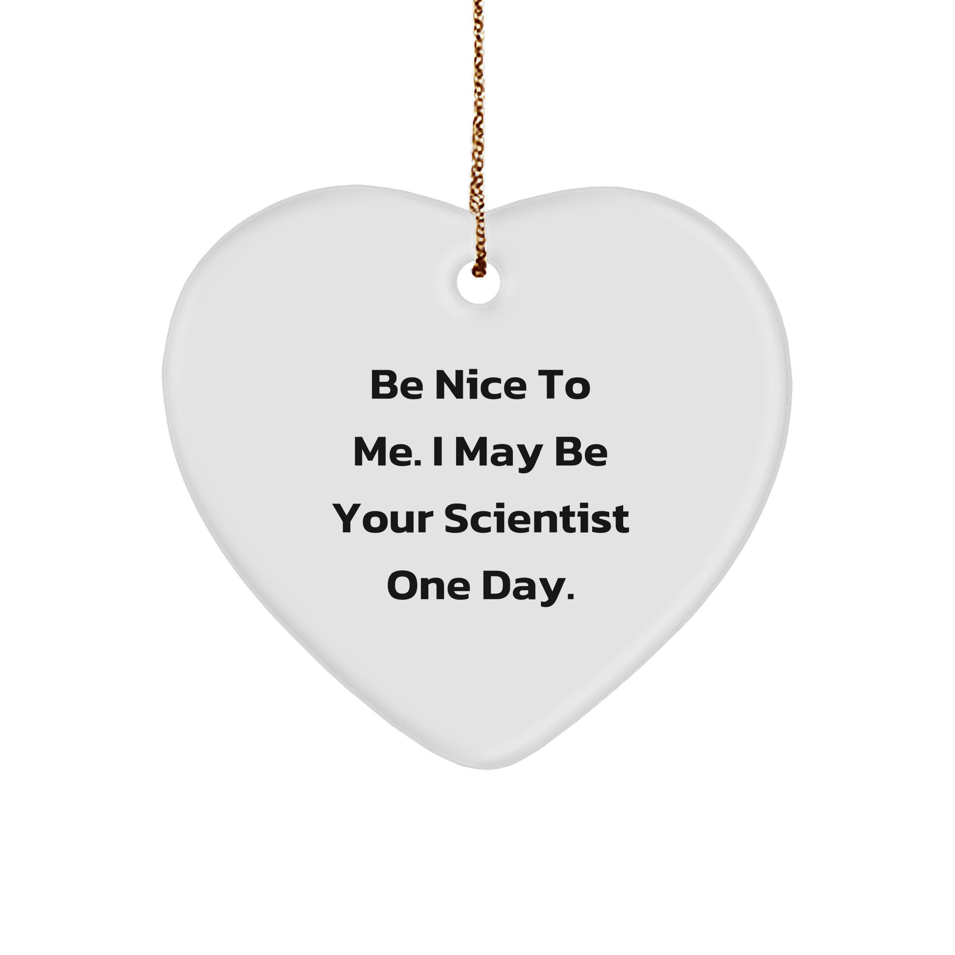 Funny Scientist Christmas Heart Ornament Funny Quote 'Be Nice To Me. I May Be Your Scientist One Day.' Gift