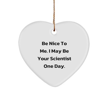 Funny Scientist Christmas Heart Ornament Funny Quote 'Be Nice To Me. I May Be Your Scientist One Day.' Gift