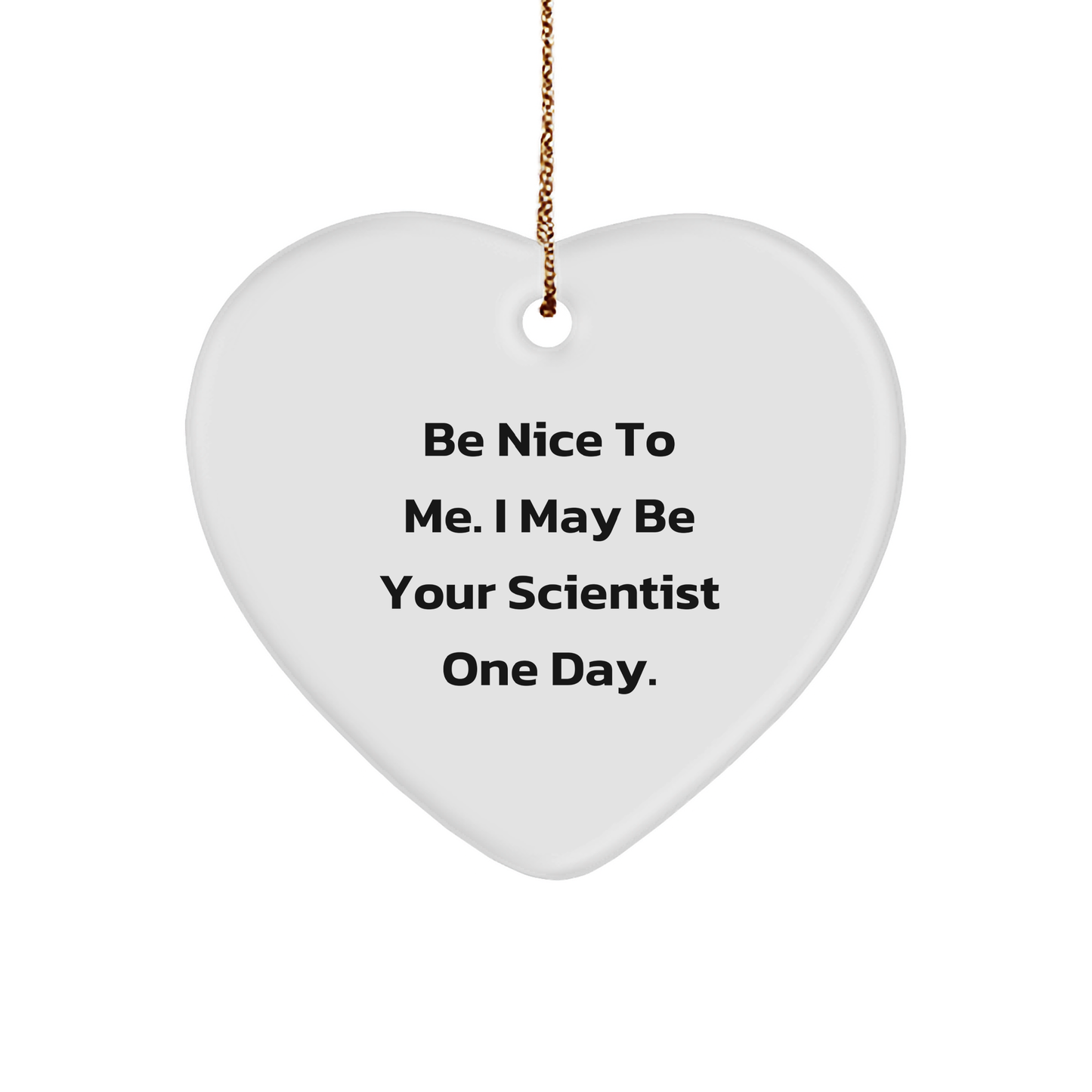 Funny Scientist Gifts from Friends for Christmas - Heart Ornament with 'Be Nice To Me. I May Be Your Scientist One Day.' Quote, White, 2.75' Tall