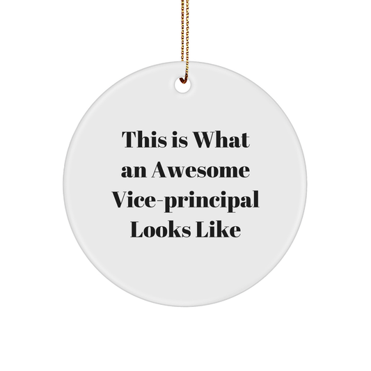 Funny Vice-Principal Gifts from Friends - This Is What An Awesome Vice-Principal Looks Like, Circle Ornament for Vice-Principal, Christmas Unique Gifts for Vice-Principal