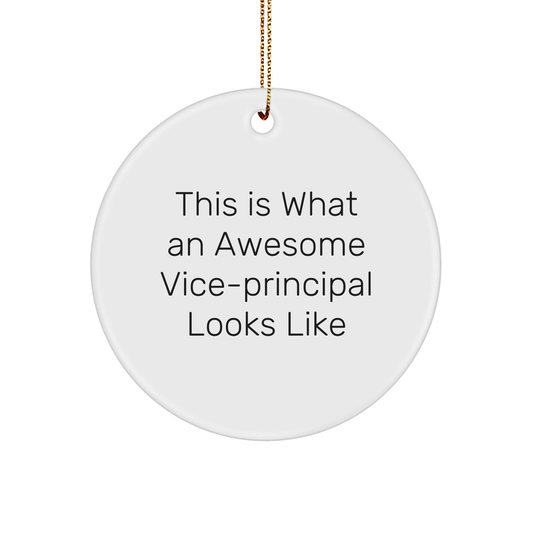 Funny Vice-Principal Gifts from Friends for Christmas Unique Circle Ornaments - This Is What An Awesome Vice-Principal Looks Like
