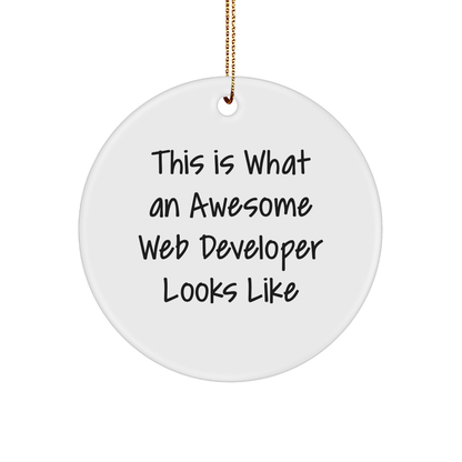 Funny Web Developer Gifts from Friends - This Is What An Awesome Web Developer Looks Like Circle Ornament for Christmas