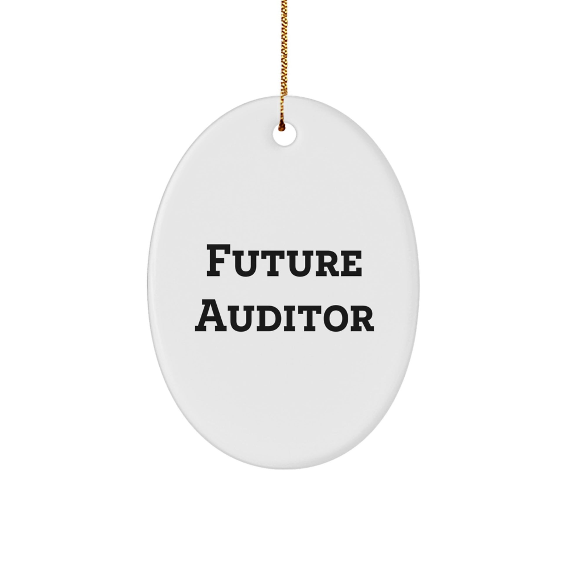 Future Auditor Inspired Oval Ornament, Funny Quote, Oval Shaped Gifts for Auditor, Gifts from Family, Christmas Unique Gifts