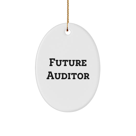 Future Auditor Inspired Oval Ornament, Funny Quote, Oval Shaped Gifts for Auditor, Gifts from Family, Christmas Unique Gifts