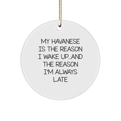 Havanese Dog Lovers' Funny Quote Ornament My Havanese Is The Reason I Wake Up...and The Reason I'm Always Late Gift,