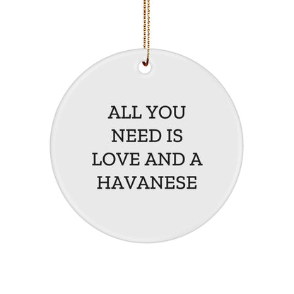 Havanese Dog Lovers Gifts, All You Need Is Love And A Havanese, Circle Ornament, Christmas Unique Gifts from Family to Friends