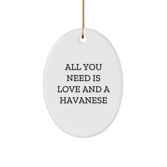 Havanese Dog Lovers Gifts from Friends to Family - Oval Ornament with Funny Quote - All You Need Is Love And A Havanese, Christmas Unique Gifts