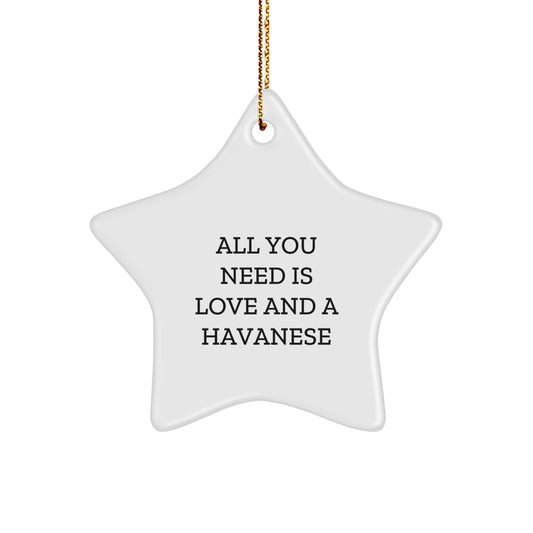 Havanese Dog Lovers' Star Ornament - 'All You Need Is Love And A Havanese'