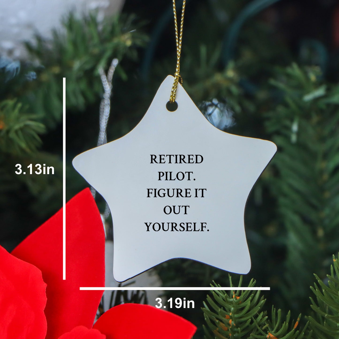 Pilot Gifts from Friends for Christmas Unique Star Ornament with Retired Pilot Quote