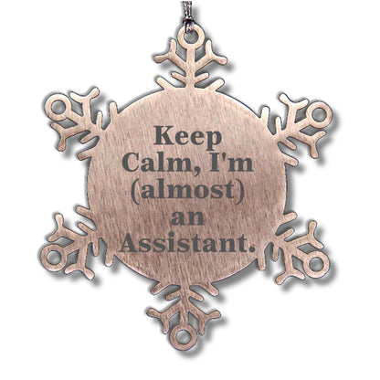 Funny Assistant Snowflake Ornament Gifts from Friends to Coworkers, Keep Calm I'm almost An Assistant - Christmas Unique Gifts for Assistant, Snowflake Ornament Lovers - Mallard Moon