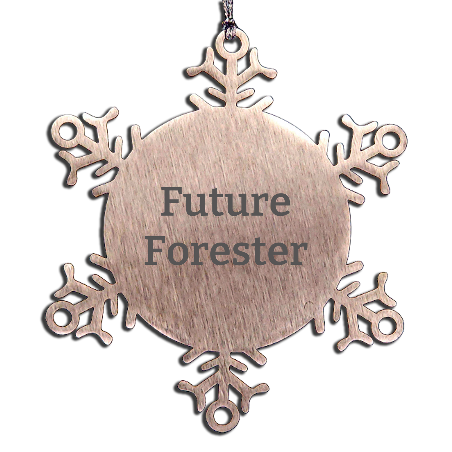 Funny Forester Gifts from Friends, Christmas Unique Ornaments for Future Forester Men, Snowflake Ornament Quotes