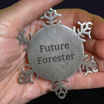 Funny Forester Gifts from Friends, Christmas Unique Ornaments for Future Forester Men, Snowflake Ornament Quotes