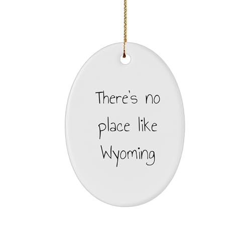 There's No Place Like Wyoming Oval Ornament Christmas Unique Gifts