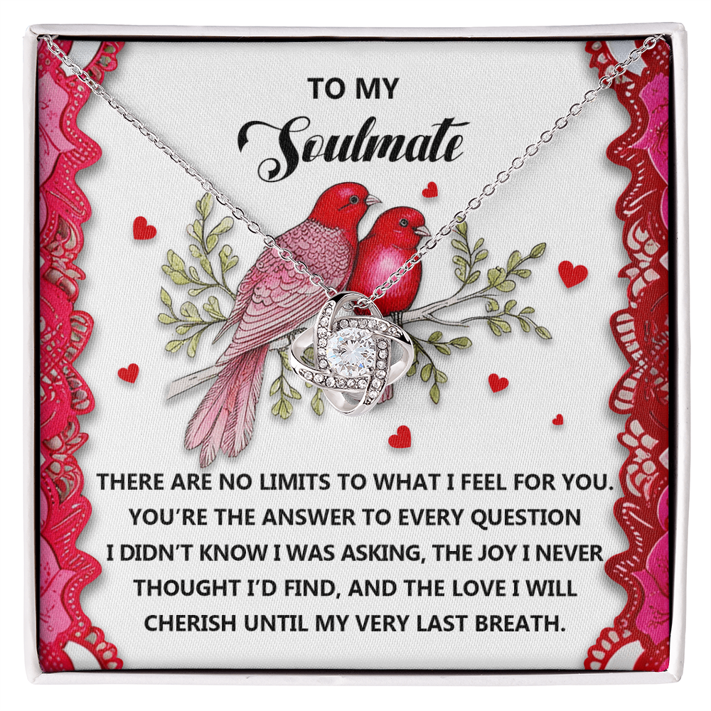Romantic Gift for Her: Love Knot Necklace with Emotional Soulmate Message - Mallard Moon Gift Shop