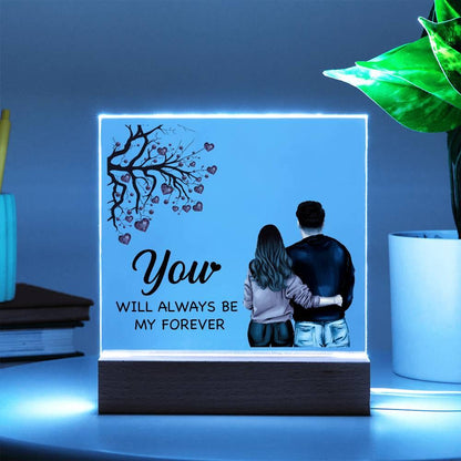 To My Soulmate You Will Always be My Forever Acrylic Plaque - Mallard Moon Gift Shop