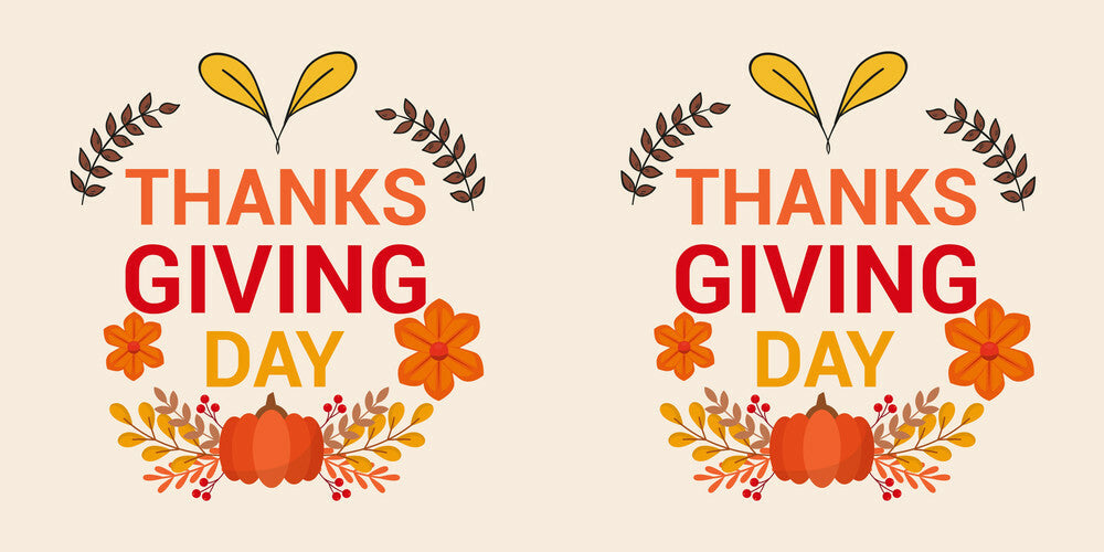 Thanksgiving Day Throw Pillow – Festive Pumpkin & Floral Fall Accent Cushion – Indoor/Outdoor, 3 Sizes - Mallard Moon