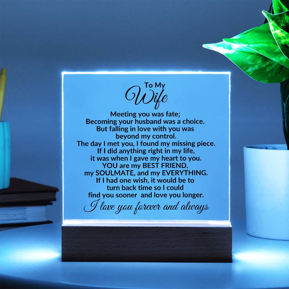 Heartfelt Gift for Wife You are My Best Friend, My Everything - Square Acrylic Plaque Personalized Birthday Anniversary Valentine Holiday - Mallard Moon Gift Shop