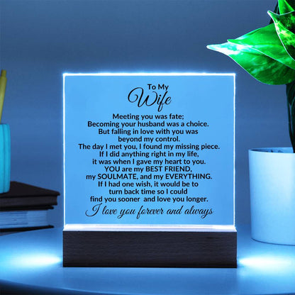 Heartfelt Gift for Wife You are My Best Friend, My Everything - Square Acrylic Plaque Personalized Birthday Anniversary Valentine Holiday - Mallard Moon Gift Shop