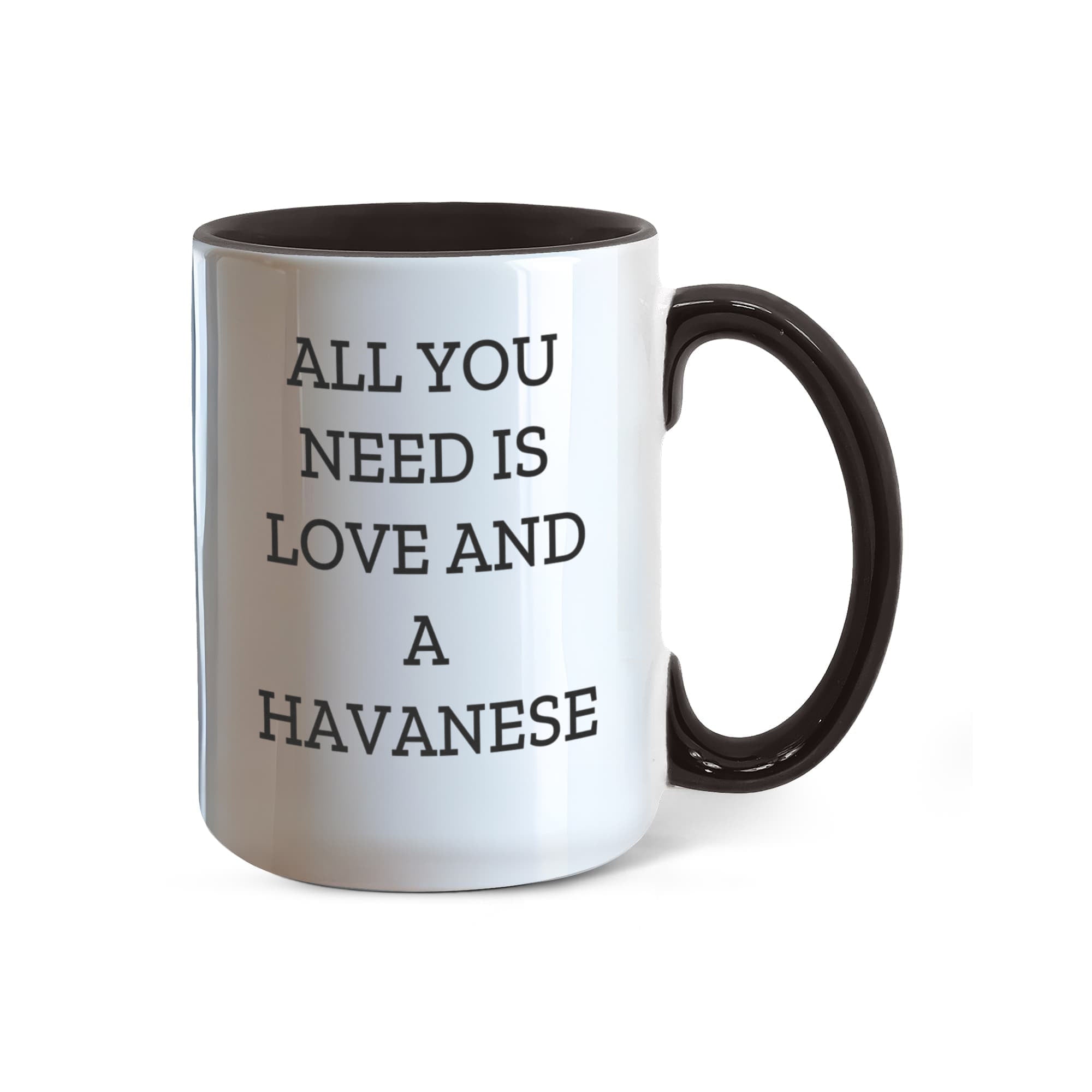 All You Need Is Love and a Havanese | Color Accent Dog Lover Ceramic Mug (11oz & 15oz, 7 Colors) - Mallard Moon Gift Shop
