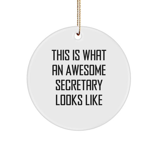 Funny Secretary Gifts from Friends - This Is What An Awesome Secretary Looks Like Circle Ornament for Christmas, Gifts for Secretary, Friends, Family, and Coworkers - Image 1