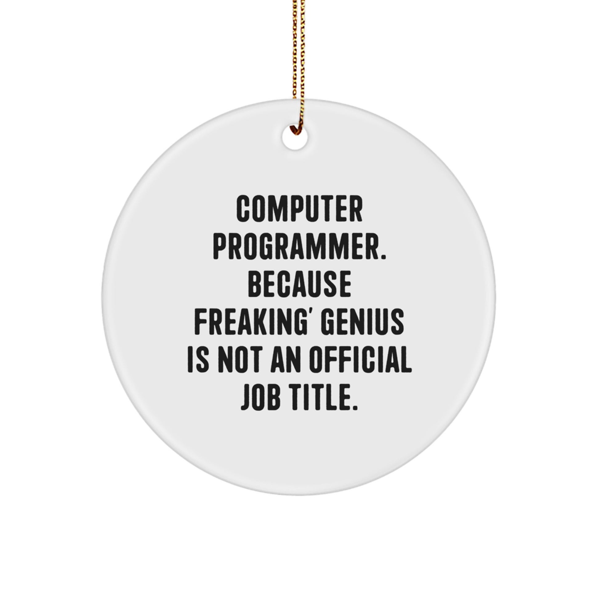 Funny Computer Programmer Gifts for Men Women Friends - Circle Ornament with Inspirational Quote 'genius Is Not An Official Job Title' - Unique Christmas Memorable Presents from Friends Family - Image 1