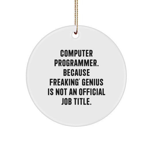 Funny Computer Programmer Gifts for Men Women Friends - Circle Ornament with Inspirational Quote 'genius Is Not An Official Job Title' - Unique Christmas Memorable Presents from Friends Family - Image 1