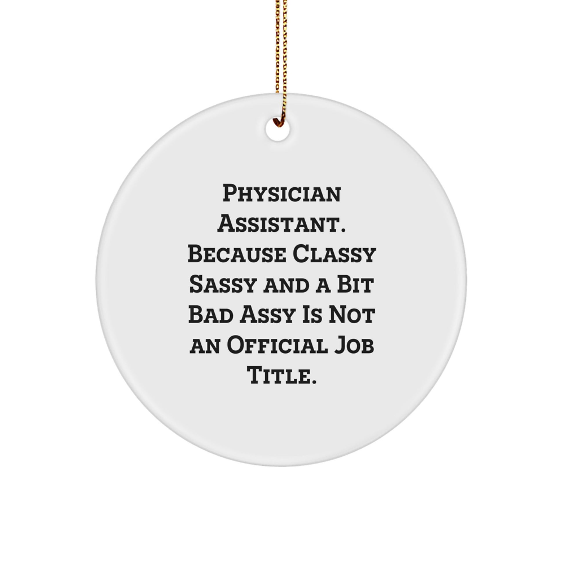 Funny Physician Assistant Gifts for Her - Cute Circle Ornament with Inspirational Quote, Ideal Gifts from Friends to Family Members, Unique Christmas Decorations - Image 1