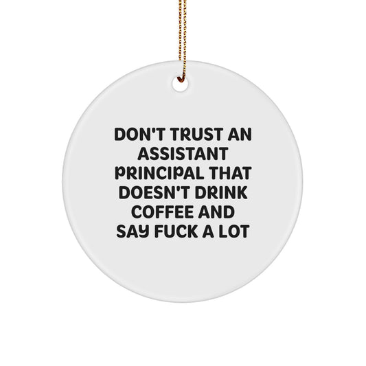 Funny Assistant Principal Gifts from Friends, Christmas Unique Ornament for Assistant Principals, Circle Shaped White - Image 1