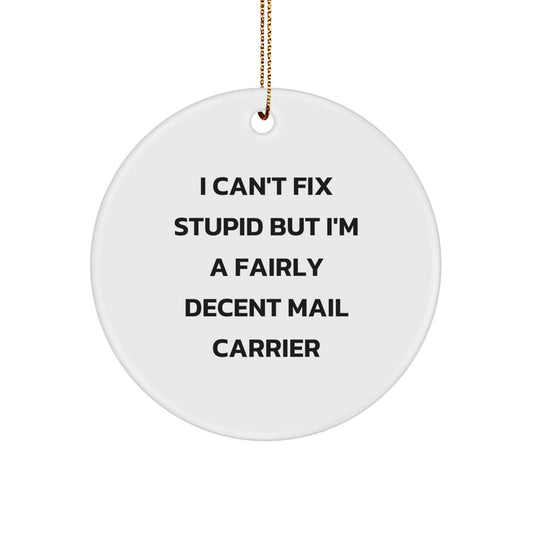 Funny Mail Carrier Gifts for Friends and Family - 'I Can't Fix Stupid' Circle Ornament, White, Christmas Unique Gifts from Men to Mail Carrier - Image 1