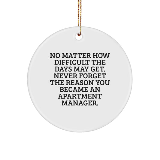 Funny Inspirational Gifts from Coworkers for Apartment Manager - Christmas Unique Gifts with Circle Ornament Quote - Motivational Apartment Manager Office Decor - Image 1