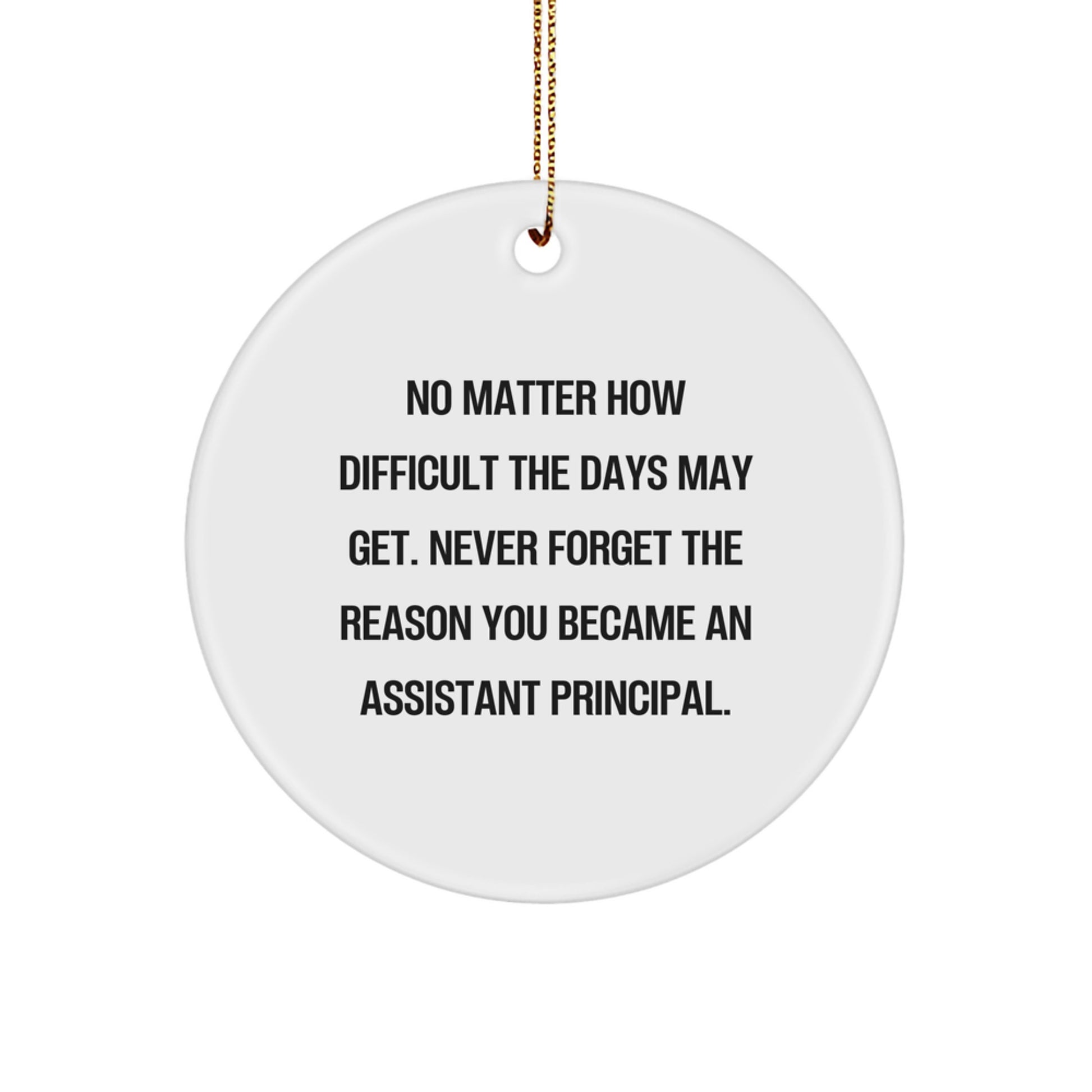 Funny Assistant Principal Christmas Circle Ornament Gifts from Friends - Never Forget Your Reason, A Heartfelt Tribute - Perfect for Home, Office, or School Decor - Image 1