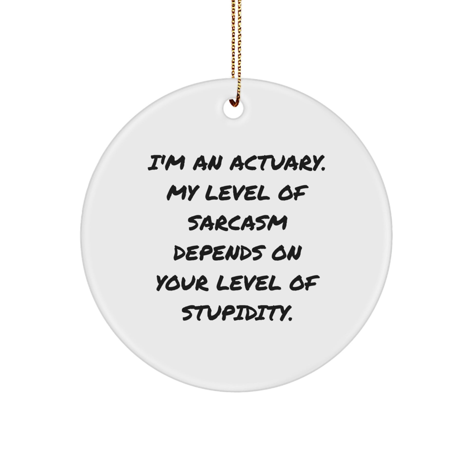 Funny Actuary Gifts for Men - I'm An Actuary Sarcasm Level Depends On Your Stupidity Christmas Ornament, Gift from Friends, Family, Coworkers to Actuary, Men, Women - Image 1